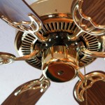 Ceiling Fans