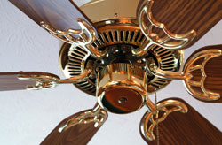 Energy Efficient Products: Ceiling Fans