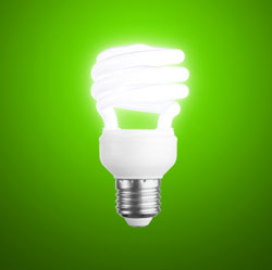Virginia Green Handyman: CF Bulbs
